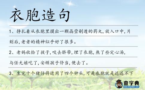 衣胞造句