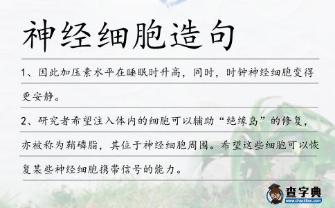 神經細胞造句