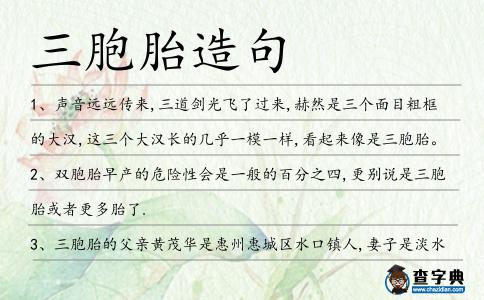 三胞胎造句