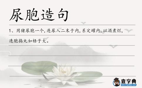 尿胞造句