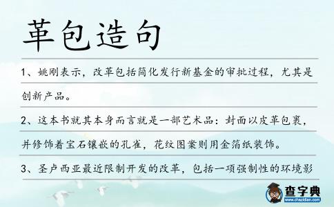 革包造句