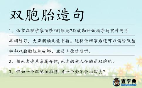 雙胞胎造句