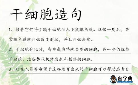干細胞造句