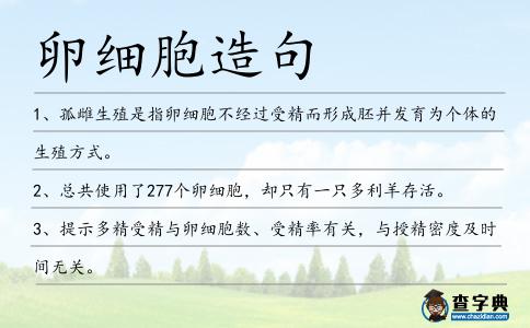 卵細(xì)胞造句