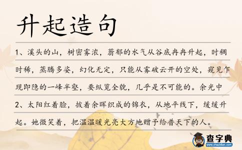 升起造句