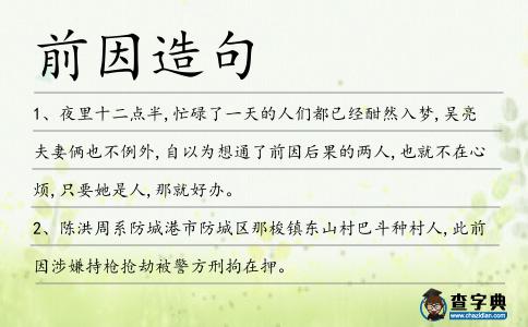 前因造句