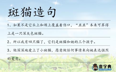 斑貓造句
