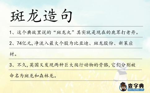 斑龍造句