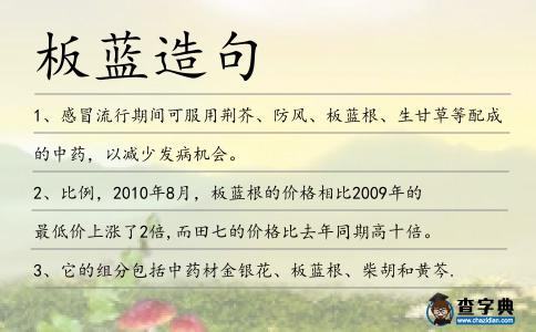 板藍(lán)造句