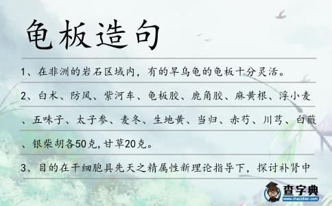 龜板造句