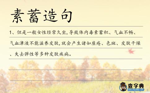 素蓄造句