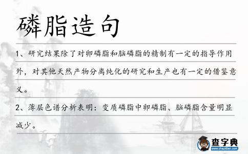 磷脂造句