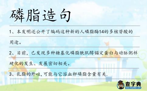 磷脂造句