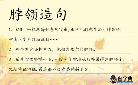 脖領(lǐng)造句