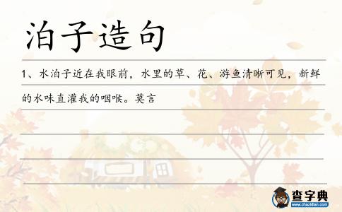 泊子造句