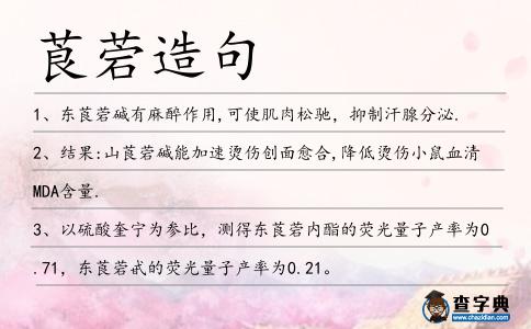莨菪造句