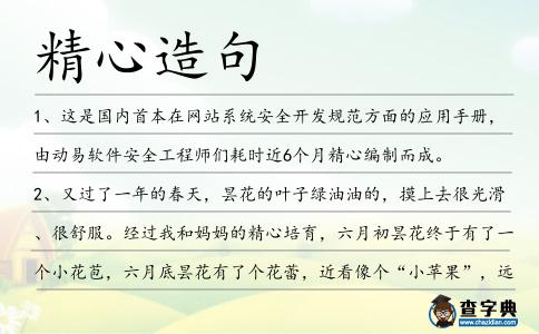 精心造句