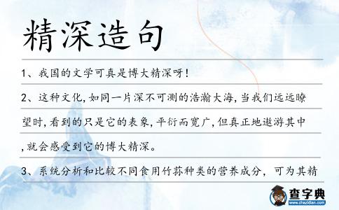 精深造句