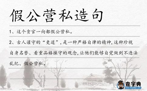 假公營私造句