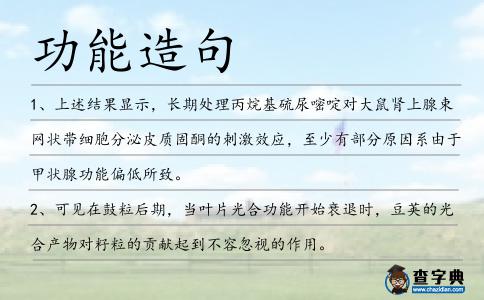 功能造句
