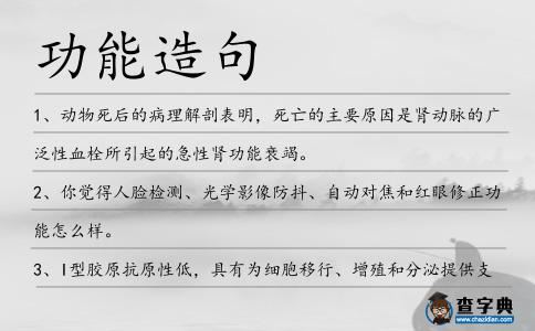 功能造句
