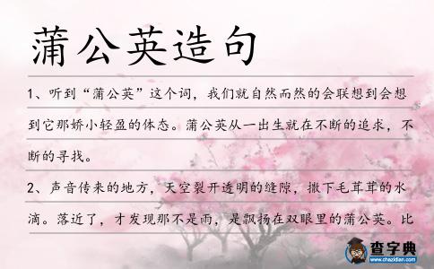 蒲公英造句
