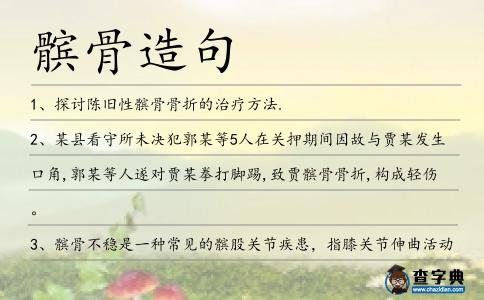 髕骨造句
