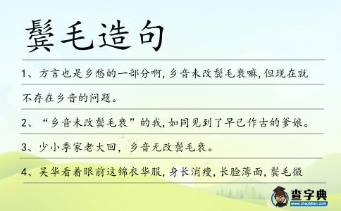 鬢毛造句