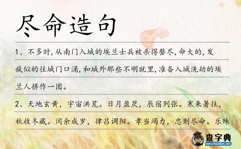 盡命造句