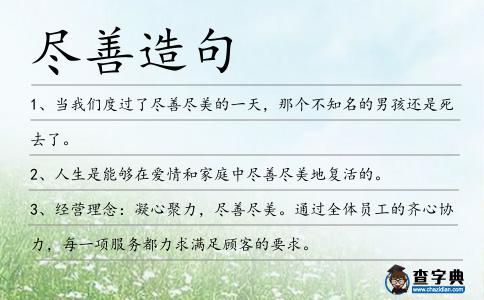 盡善造句