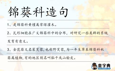 錦葵科造句