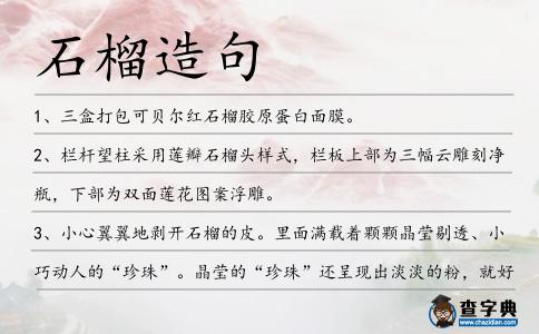 石榴造句