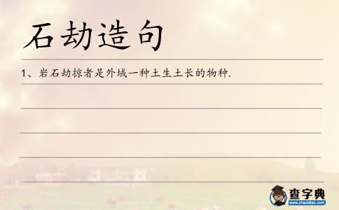 石劫造句