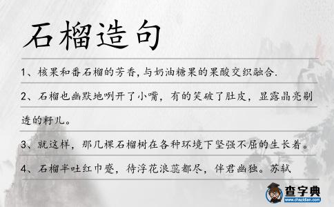 石榴造句
