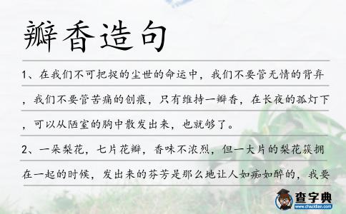 瓣香造句