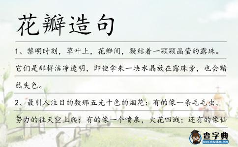 花瓣造句