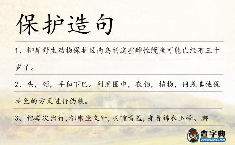 保護造句