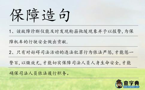 保障造句