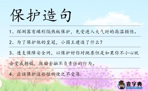 保護造句