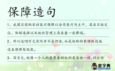 保障造句