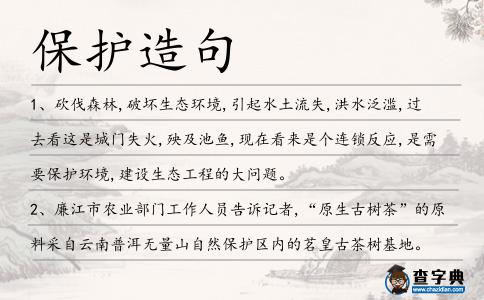 保護造句