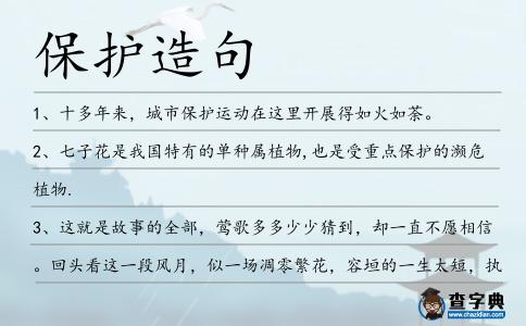 保護造句
