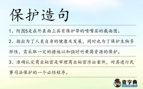 保護造句