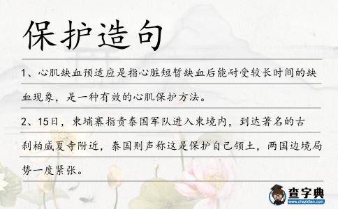 保護造句