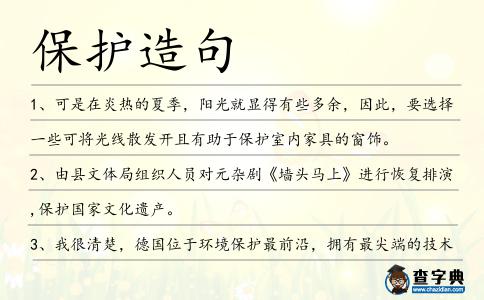 保護造句