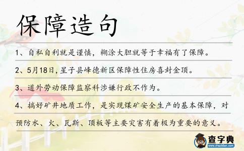 保障造句