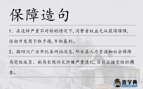 保障造句