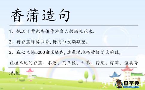 香蒲造句