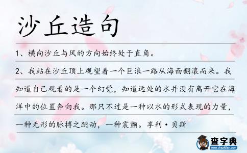 沙丘造句