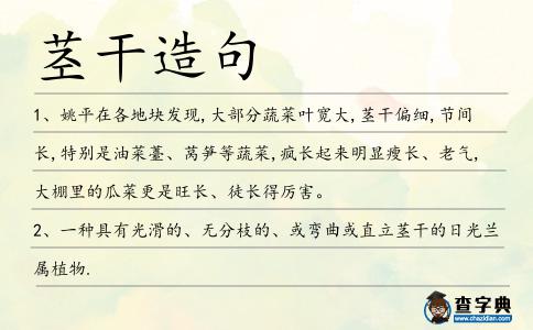 莖干造句